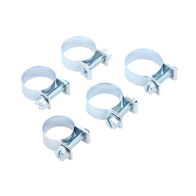 Jubilee Hose Clips 10Pcs Set f - Kids Outdoor Activity Set ulasan dan harga