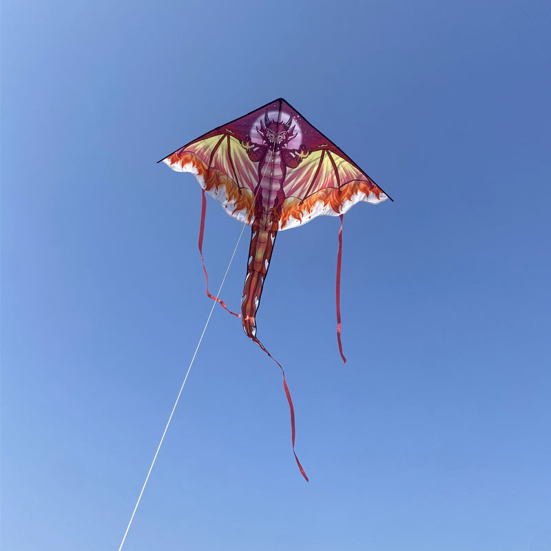 Large Dragon Kite For Kids & A - Kite Easy Fly Kids ulasan dan harga