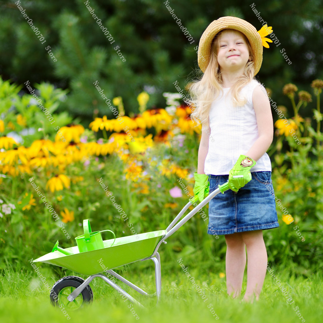 Kids Outdoor Wheelbarrow, Gree - Kids Outdoor Garden Toys ulasan dan harga