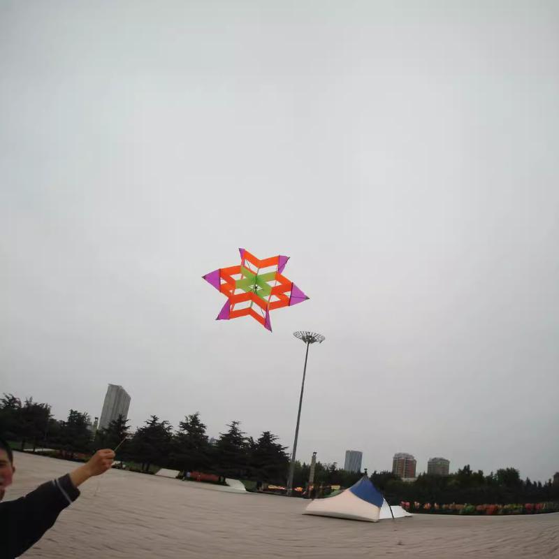 Travel-friendly 3D Plum Blosso - Kite Easy Fly Kids ulasan dan harga